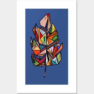 Colorful feather Posters and Art